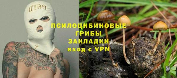 спайс Баксан