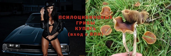 Альфа ПВП Покачи