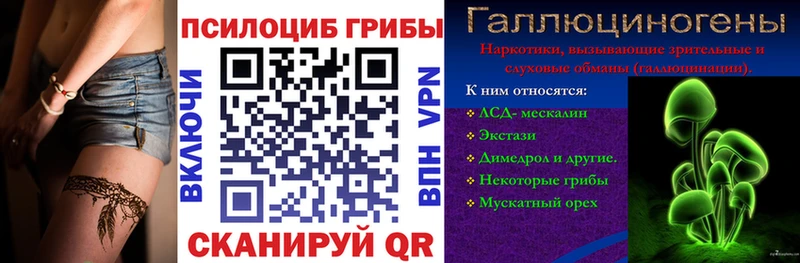ссылка на мегу tor  даркнет сайт  Суворов  Псилоцибиновые грибы прущие грибы 